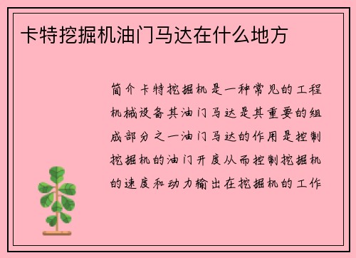 卡特挖掘机油门马达在什么地方
